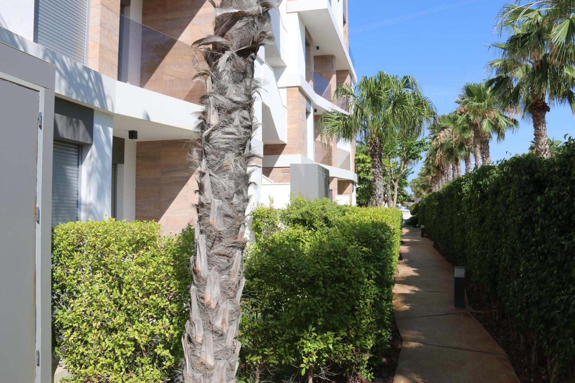 Luxusni Apartman Ve Spanelsku, Cabo Roig Οριουέλα Εξωτερικό φωτογραφία